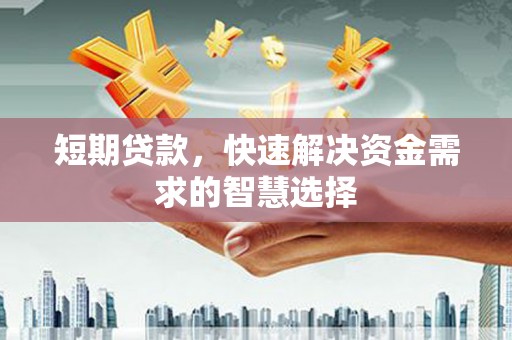 天峨短期贷款，快速解决资金需求的智慧选择