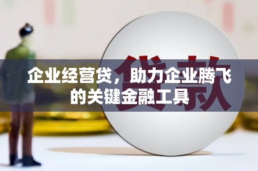 天峨企业经营贷，助力企业腾飞的关键金融工具
