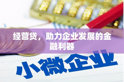 天峨经营贷，助力企业发展的金融利器