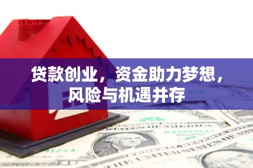 天峨贷款创业，资金助力梦想，风险与机遇并存