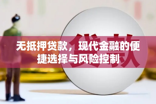 天峨无抵押贷款，现代金融的便捷选择与风险控制