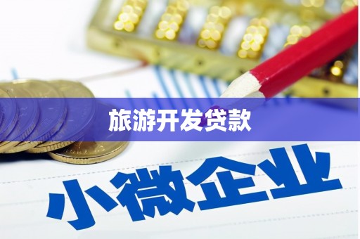天峨旅游开发贷款