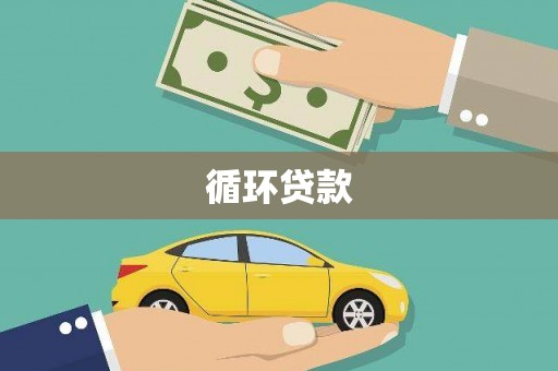 天峨循环贷款