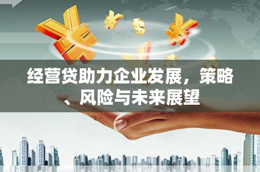 天峨经营贷助力企业发展，策略、风险与未来展望