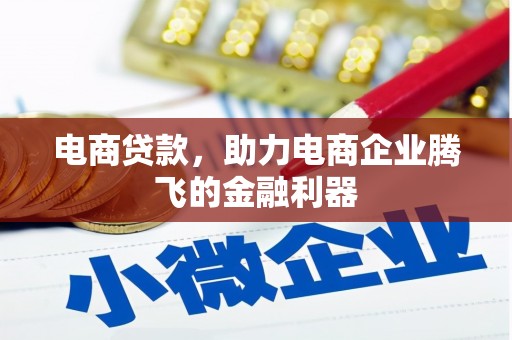 天峨电商贷款，助力电商企业腾飞的金融利器