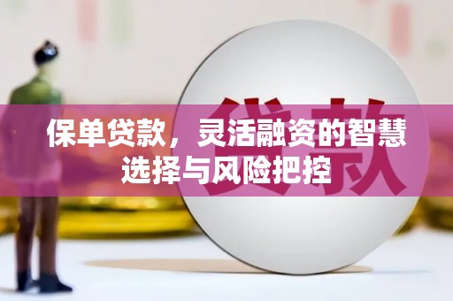 天峨保单贷款，灵活融资的智慧选择与风险把控