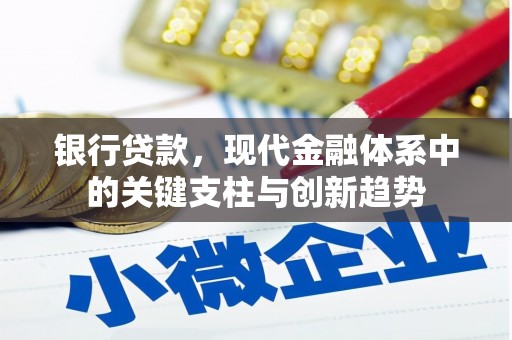 天峨银行贷款，现代金融体系中的关键支柱与创新趋势