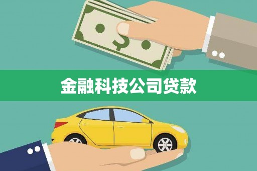 天峨金融科技公司贷款