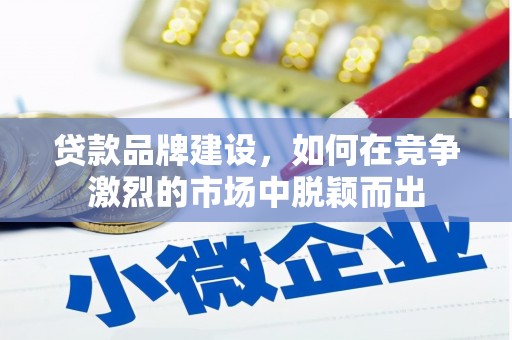 天峨贷款品牌建设，如何在竞争激烈的市场中脱颖而出