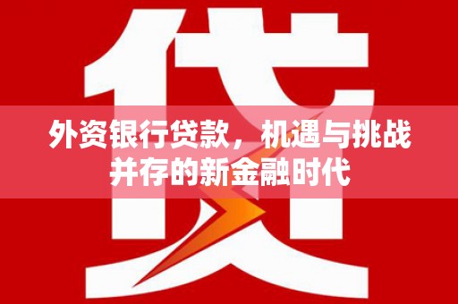 天峨外资银行贷款，机遇与挑战并存的新金融时代