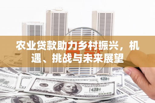 天峨农业贷款助力乡村振兴，机遇、挑战与未来展望