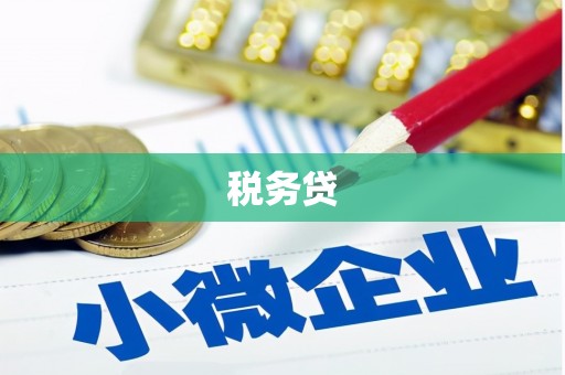 天峨税务贷