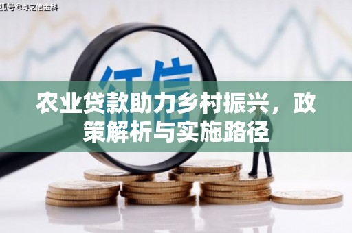 天峨农业贷款助力乡村振兴，政策解析与实施路径