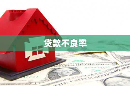 天峨贷款不良率