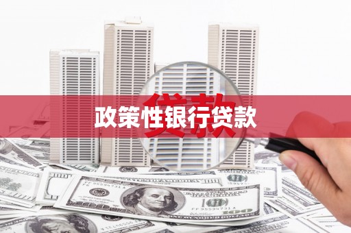 天峨政策性银行贷款