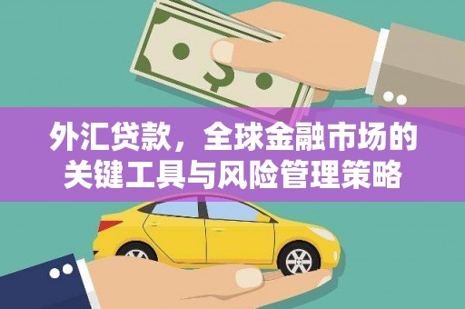 天峨外汇贷款，全球金融市场的关键工具与风险管理策略