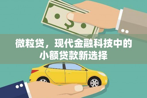 天峨微粒贷，现代金融科技中的小额贷款新选择