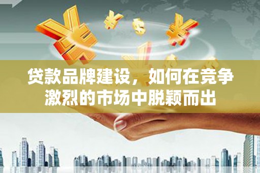 天峨贷款品牌建设，如何在竞争激烈的市场中脱颖而出