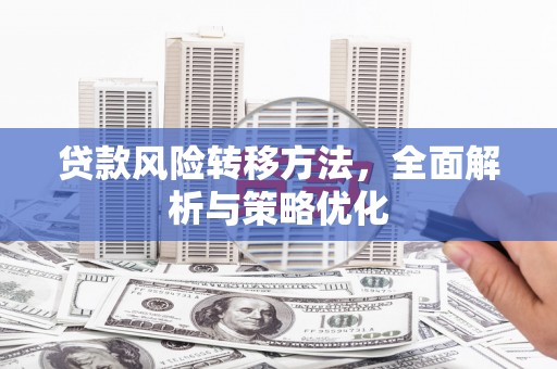 天峨贷款风险转移方法，全面解析与策略优化