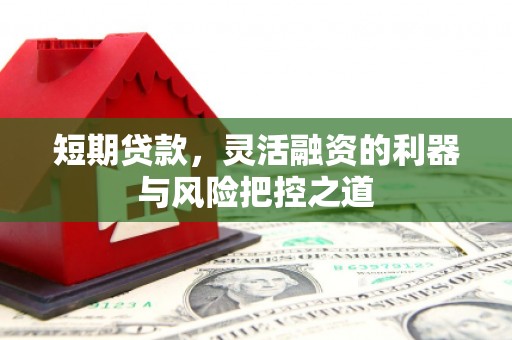 天峨短期贷款，灵活融资的利器与风险把控之道