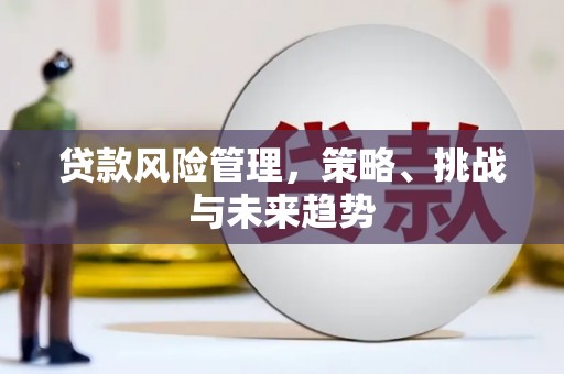 天峨贷款风险管理，策略、挑战与未来趋势