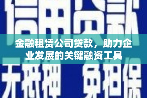 天峨金融租赁公司贷款，助力企业发展的关键融资工具