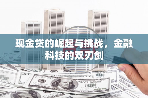 天峨现金贷的崛起与挑战，金融科技的双刃剑