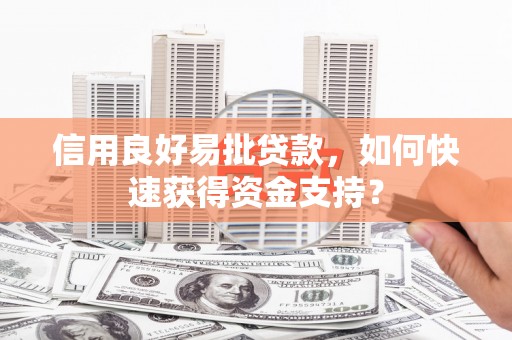 天峨信用良好易批贷款，如何快速获得资金支持？