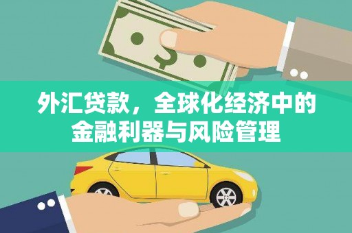 天峨外汇贷款，全球化经济中的金融利器与风险管理