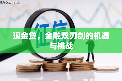 天峨现金贷，金融双刃剑的机遇与挑战