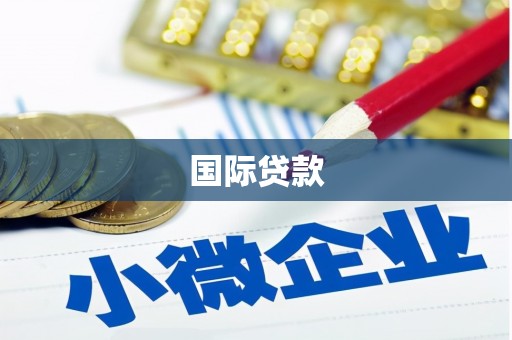 天峨国际贷款