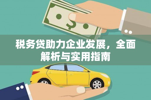天峨税务贷助力企业发展，全面解析与实用指南