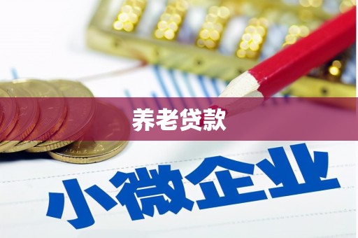 天峨养老贷款