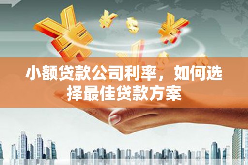 天峨小额贷款公司利率，如何选择最佳贷款方案