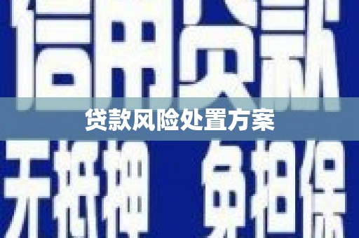 天峨贷款风险处置方案