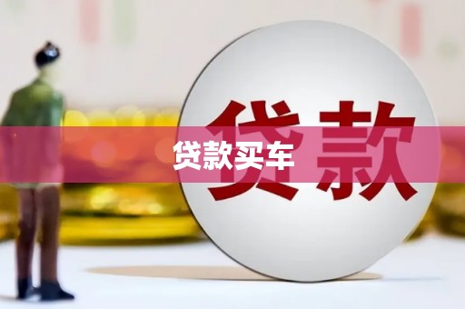 天峨贷款买车