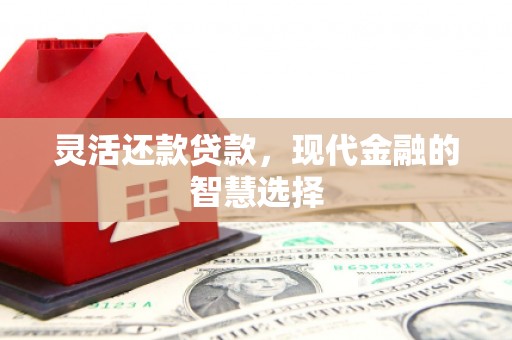天峨灵活还款贷款，现代金融的智慧选择