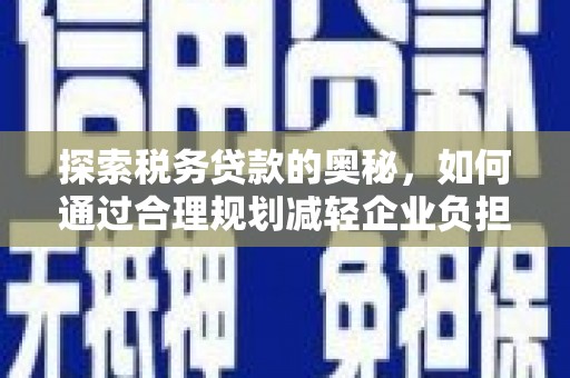 天峨探索税务贷款的奥秘，如何通过合理规划减轻企业负担