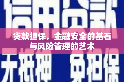 天峨贷款担保，金融安全的基石与风险管理的艺术