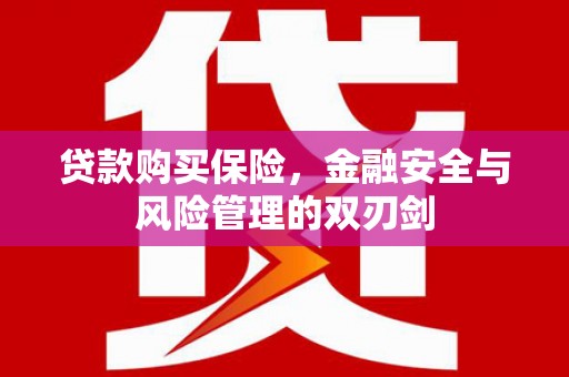 天峨贷款购买保险，金融安全与风险管理的双刃剑