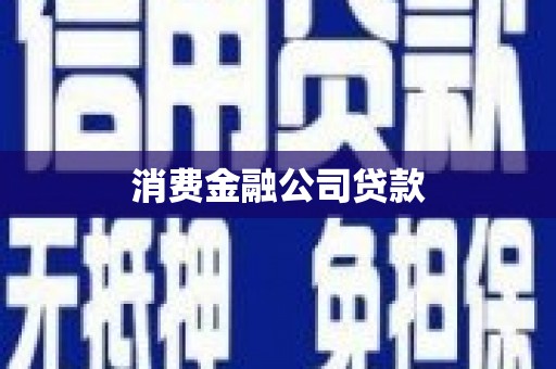天峨消费金融公司贷款