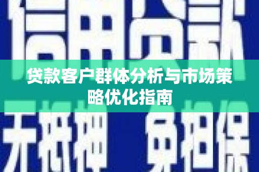 天峨贷款客户群体分析与市场策略优化指南