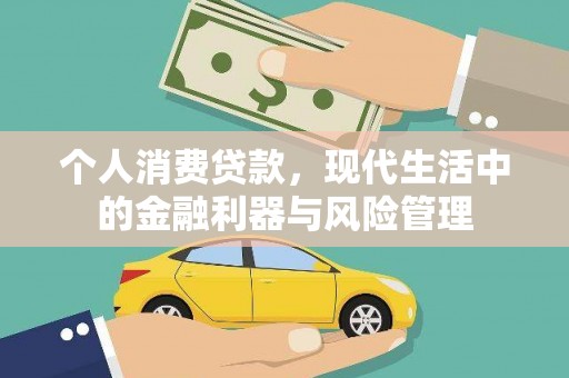 天峨个人消费贷款，现代生活中的金融利器与风险管理