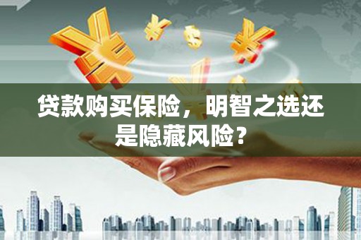 天峨贷款购买保险，明智之选还是隐藏风险？