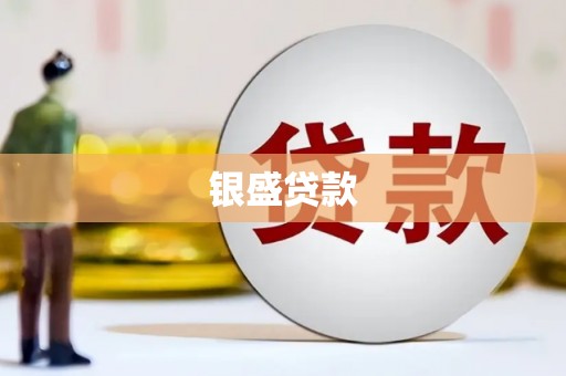 天峨银盛贷款