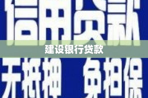 天峨建设银行贷款