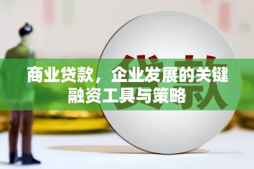 天峨商业贷款，企业发展的关键融资工具与策略