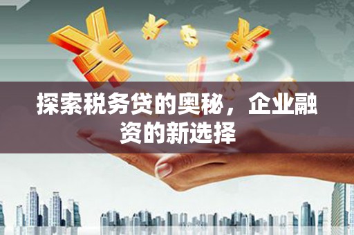 天峨探索税务贷的奥秘，企业融资的新选择