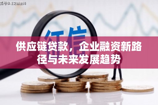 天峨供应链贷款，企业融资新路径与未来发展趋势