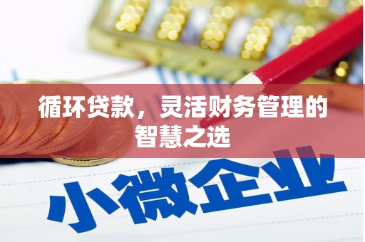 天峨循环贷款，灵活财务管理的智慧之选